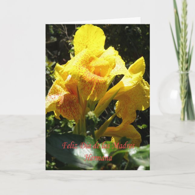 Tarjeta Feliz dia de las madres Hermana (Anverso)