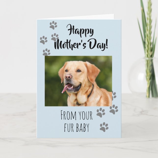 Tarjeta Feliz día de las madres Perro Gato Mascota Bebé pe (Anverso)