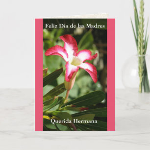 Tarjeta Feliz día de las Madres queridas Hermana