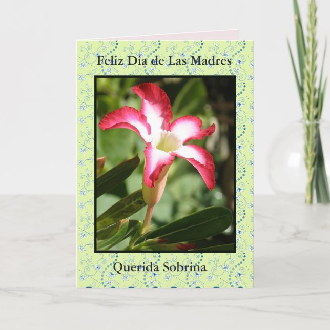 Tarjeta Feliz Dia de las Madres Sobrina (Anverso)