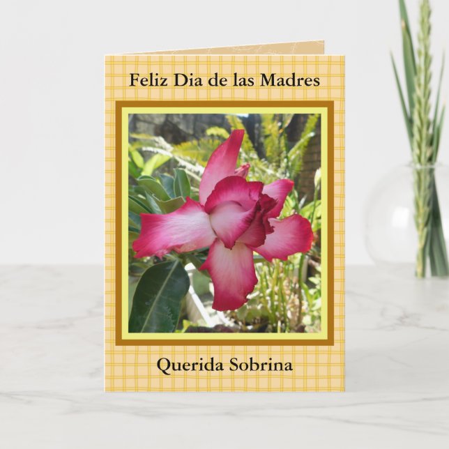Tarjeta Feliz Día de las Madres Sobrina 421 (Anverso)