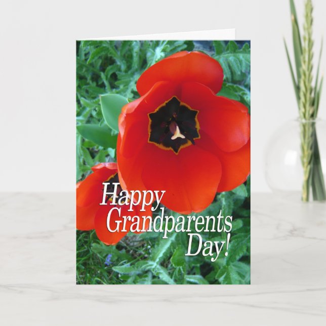 Tarjeta Feliz Día de los Abuelos Abuela - Flores de amapol (Anverso)