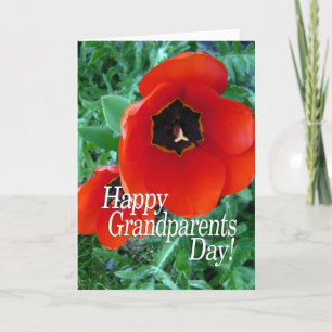 Tarjeta Feliz Día de los Abuelos Abuela - Flores de amapol