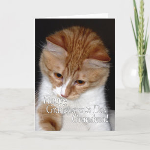 Tarjeta Feliz Día de los Abuelos Abuela Gato Lindo
