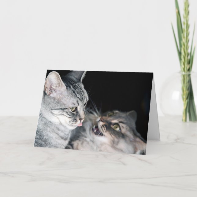 Tarjeta ¡Feliz Día de los Hermanos! (Anverso)