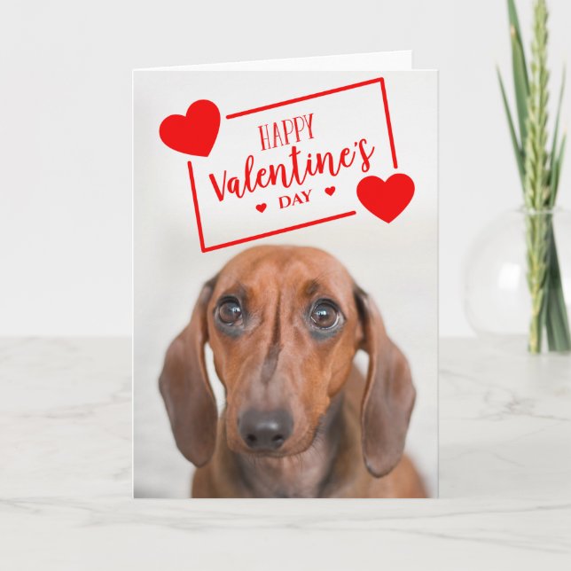 Tarjeta Feliz Día de San Valentín | Dachshund Puppy (Anverso)