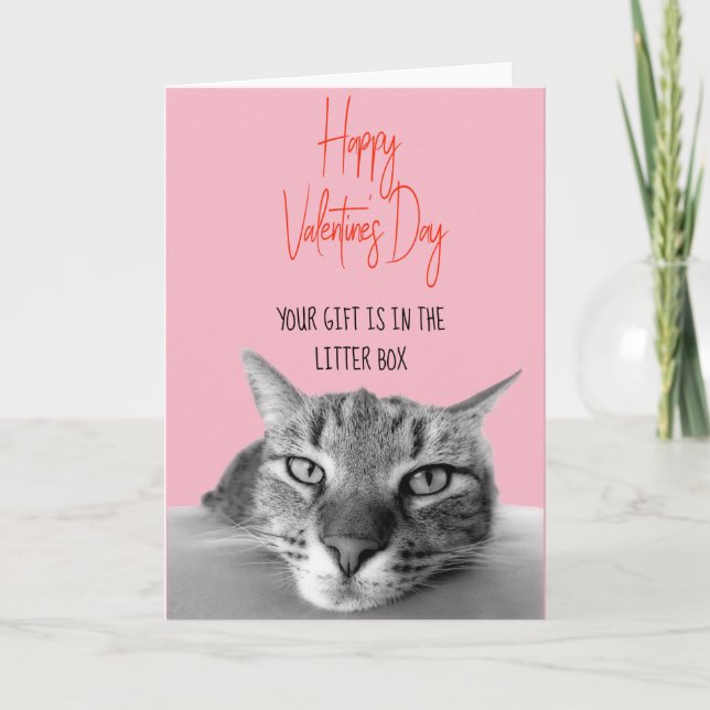 Tarjeta Feliz Día de San Valentín de gato a gracioso (Anverso)