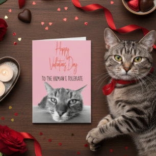 Tarjeta Feliz Día de San Valentín de gato a gracioso