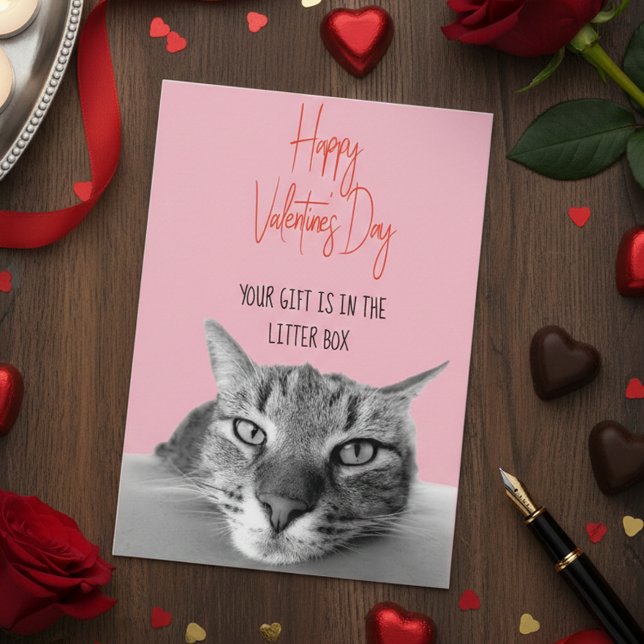 Tarjeta Feliz Día de San Valentín de gato a gracioso (Subido por el creador)