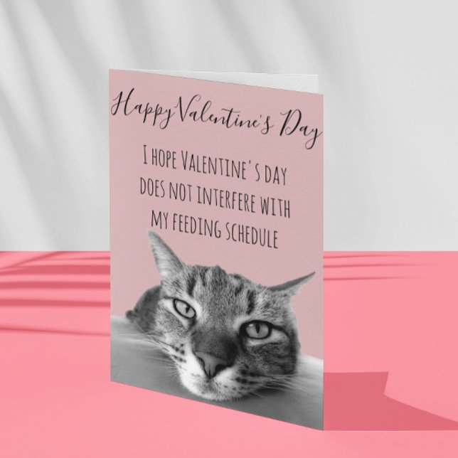 Tarjeta Feliz día de San Valentín de Gato a Humano Humor (Subido por el creador)