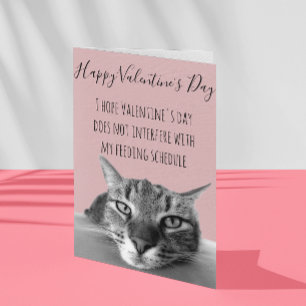 Tarjeta Feliz Día de San Valentín de gato a humor humano
