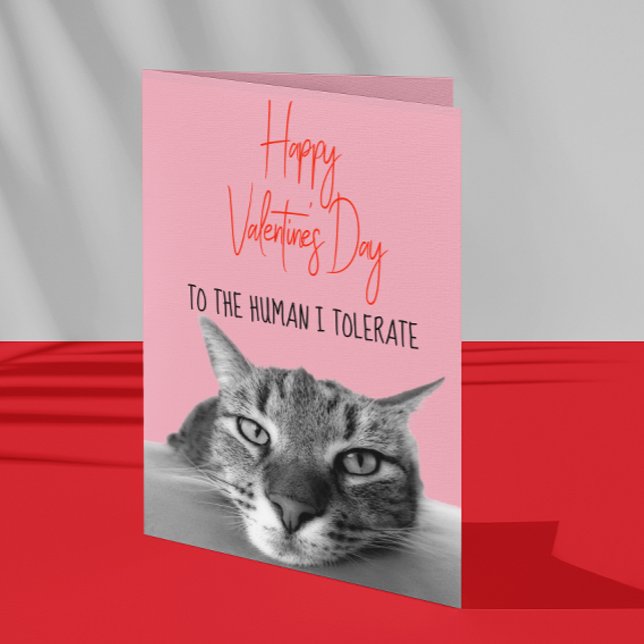 Tarjeta Feliz día de San Valentín del gato al humano Diver (Subido por el creador)