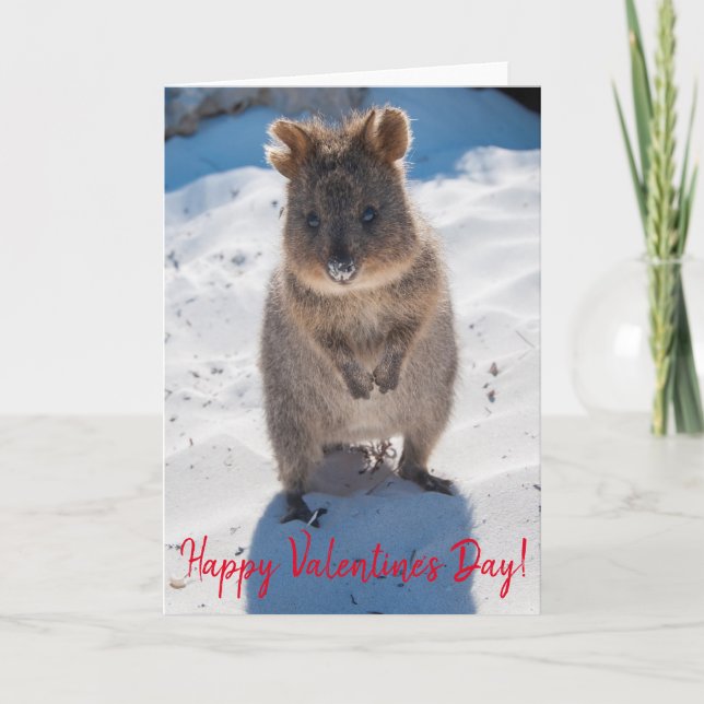 Tarjeta Feliz Día de San Valentín lindo Quokka en la playa (Anverso)