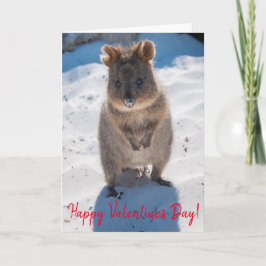 Tarjeta Feliz Día de San Valentín lindo Quokka en la playa