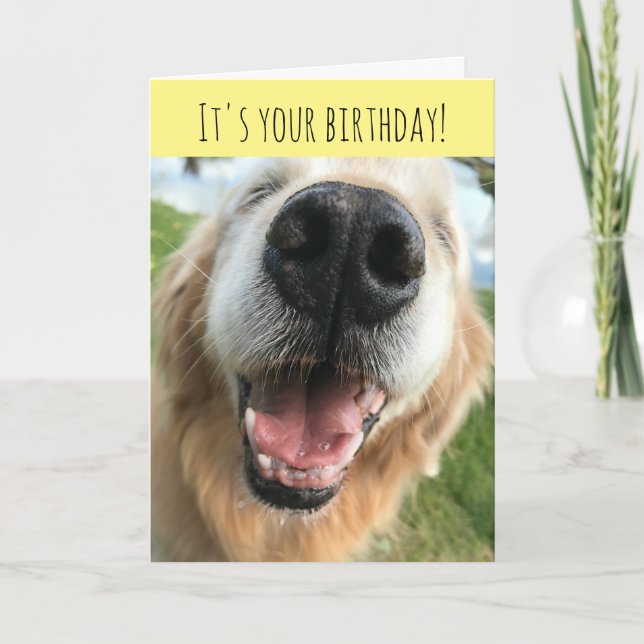 Tarjeta Feliz Día del Aniversario del Perro de Golden Retr (Anverso)