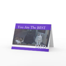 Feliz Día del Padre a los gatos