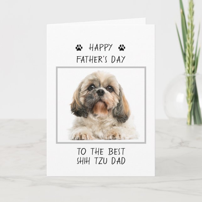 Tarjeta Feliz Día del Padre, Shih Tzu Dad Fotografía diver (Anverso)