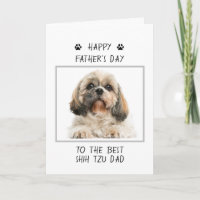 Feliz Día del Padre, Shih Tzu Dad Fotografía diver