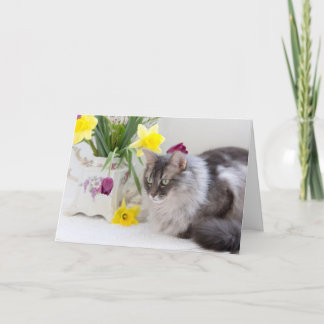 Tarjeta ¡Feliz Día Nacional de los Hermanos!