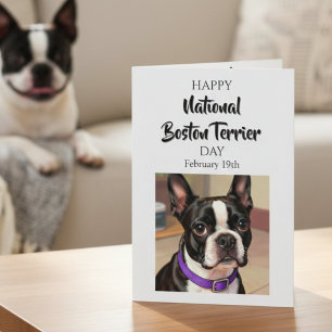Tarjeta Feliz Día Nacional del Boston Terrier 19 de febr