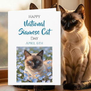 Tarjeta Feliz Día Nacional del Gato Siamés   6 de abril