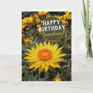 Tarjeta Feliz Energía Flor de Margarita de Papel Feliz Cum