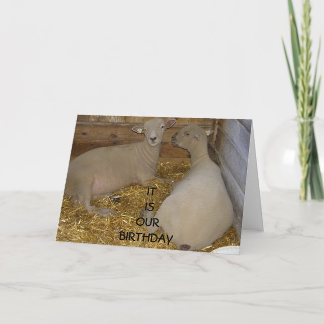 TARJETA FELIZ ES "NUESTRO" CUMPLEAÑOS (Anverso)