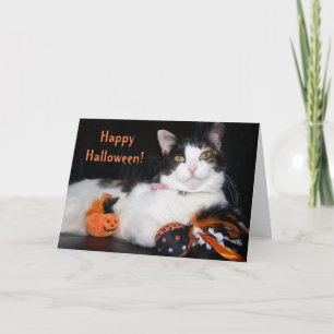 Tarjeta Feliz Gato de Halloween Calico Kitty con calabaza
