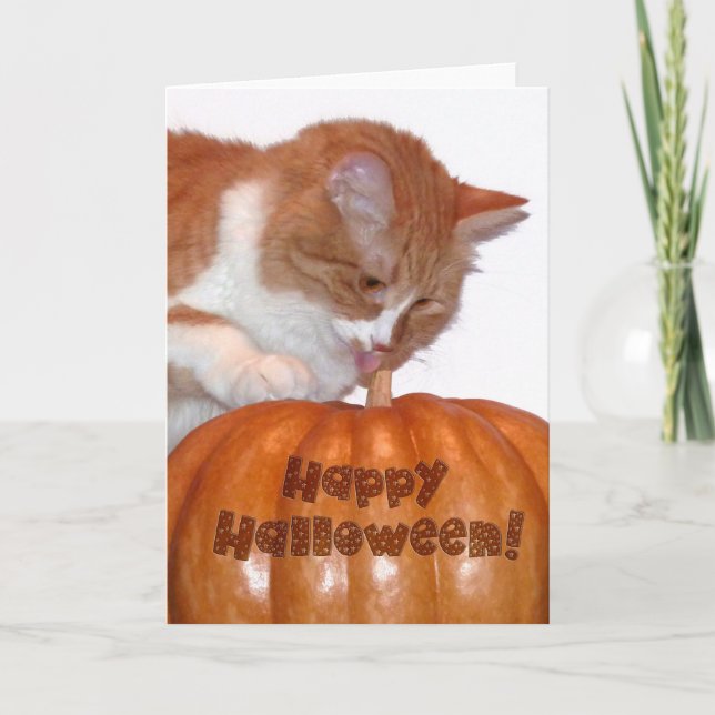 Tarjeta Feliz Gato de Halloween con calabaza (Anverso)