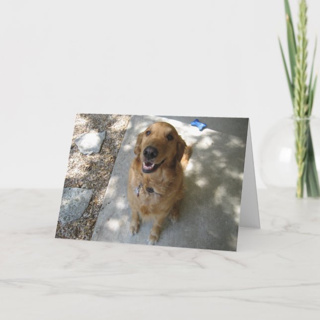 Tarjeta Feliz Golden Retriever (Anverso)