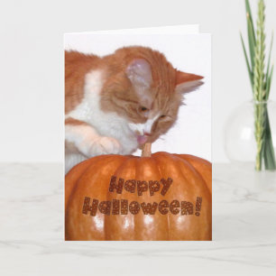 Tarjeta Feliz Halloween Gatito Lindo con Calabaza