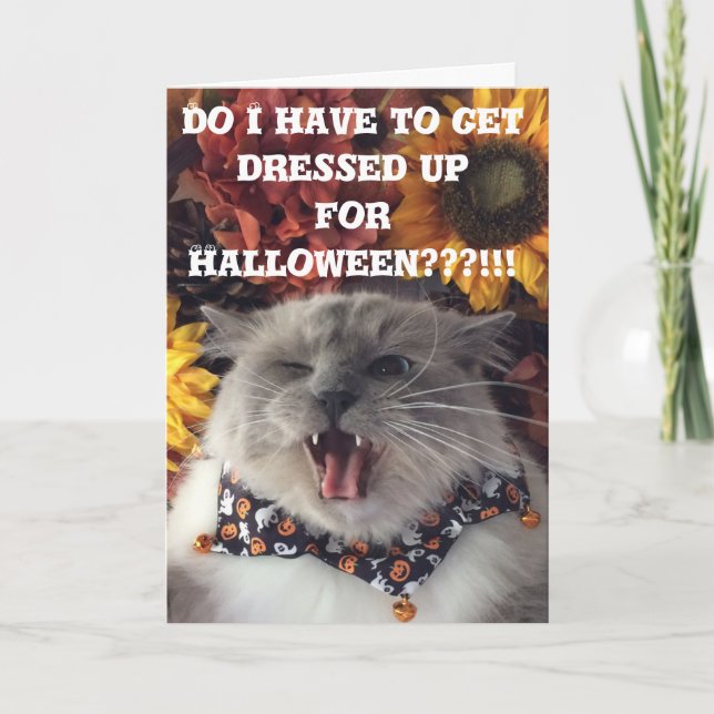 Tarjeta Feliz Halloween/tarjeta gruñona del gato (Anverso)
