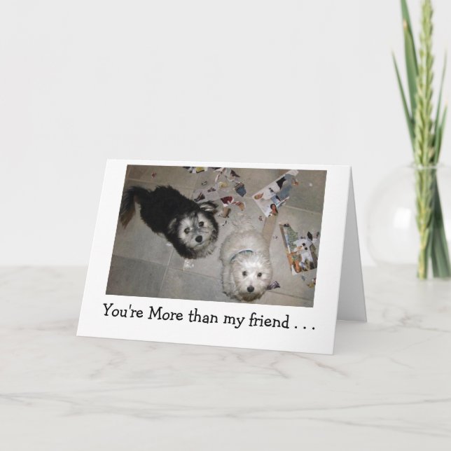 Tarjeta Feliz humor de BIrthday - amigos de cachorros (Anverso)