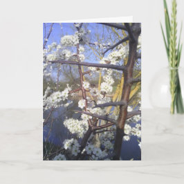 Tarjeta Feliz Imbolc (flor de espina negra)