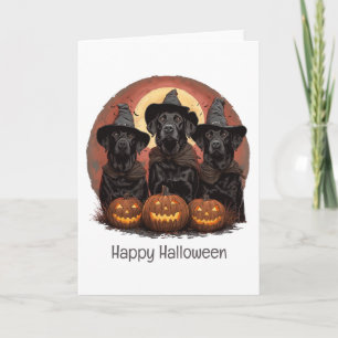 Tarjeta Felíz Labrador de Halloween perro Gorras de brujas