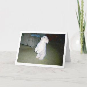 Tarjeta feliz maltesa del día de padre