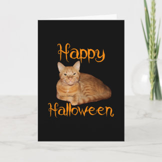 Tarjeta Feliz Naranja de Halloween sin miedo Tabby Cat