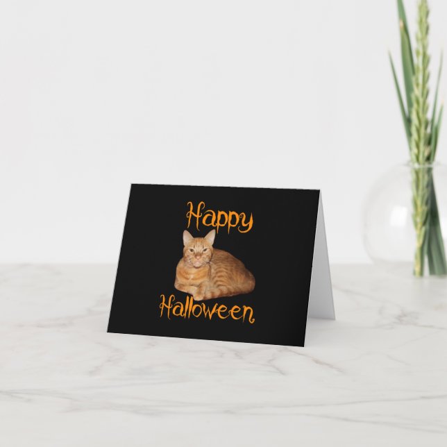 Tarjeta Feliz Naranja de Halloween sin miedo Tabby Cat (Anverso)