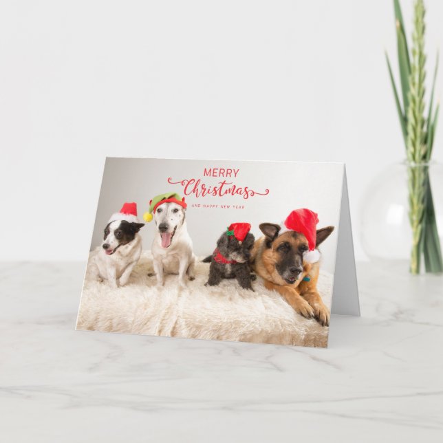Tarjeta Feliz Navidad a los perros con sombreros de Santa (Anverso)