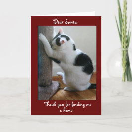 Tarjeta Feliz Navidad a tu gato adoptado