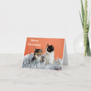 TARJETA FELIZ NAVIDAD A *UN GATO GENIAL*