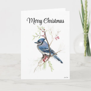 Tarjeta Feliz Navidad Blue Jay Holiday Card
