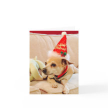 Feliz Navidad Chihuahua Cuti 4Sadie