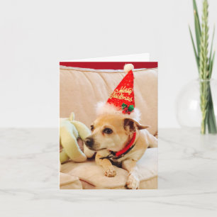 Tarjeta Feliz Navidad Chihuahua Cuti 4Sadie