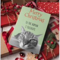 Feliz Navidad De Gato A Humano Es Gracioso