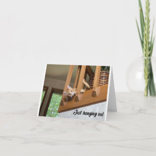 TARJETA FELIZ NAVIDAD DE GATO COLGANDO
