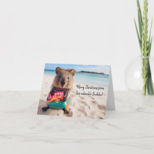 Tarjeta Feliz Navidad desde este Adorable Quokka -