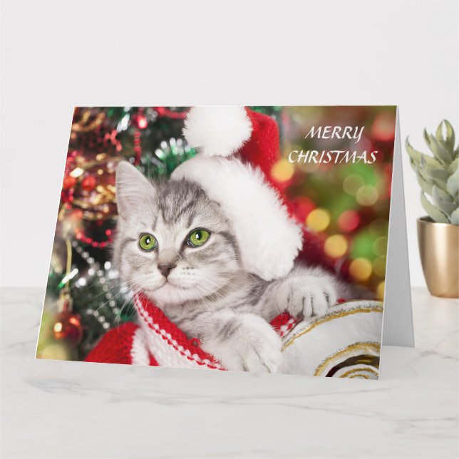 Tarjeta Feliz Navidad Gatito (Planta pequeña)