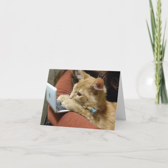 TARJETA ***FELIZ NAVIDAD*** GATO OCUPADO (Anverso)