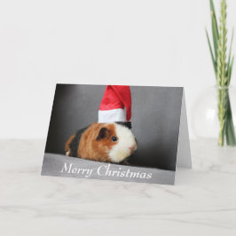 Tarjeta Feliz Navidad Guinea cerdo en Santa Hat